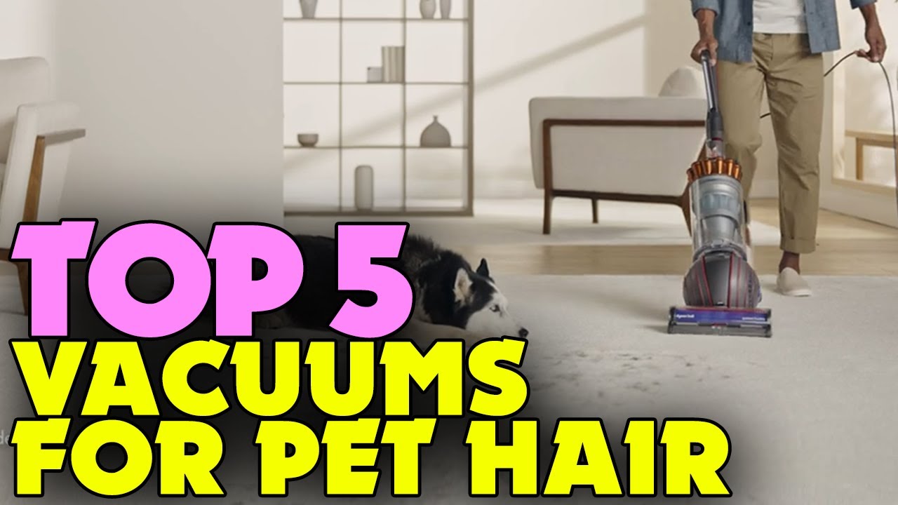 Top Vacuums for Pet Hair in 2024 Ultimate Cleaning Solutions! YouTube