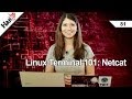 Linux Terminal 101: Netcat