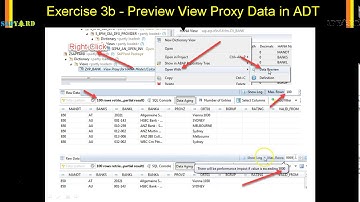 009 Exercise 3 Steps to display VP data in SE16 and ADT