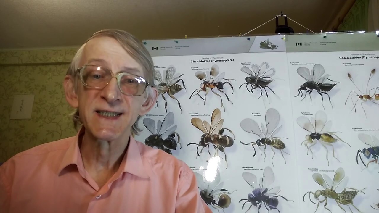 Interview with Dr Richard Dawkins, Evolutionary Biologis Selfish Gene is Right! PART2. YouTube