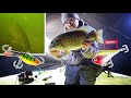 Rip N' Rap/Hyperglide For Giant Smallmouth Bass!!! (Underwater Footage)