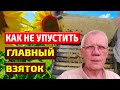 Главный медосбор Когда ставить магазины пчелам