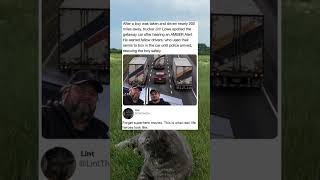When an AMBER Alert turns truck drivers into heroes