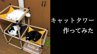 【DIY??】百均で買えるものでキャットタワー作って見たら愛猫大喜び！