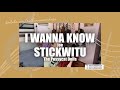 &quot;I Wanna Know / Stickwitu&quot; (Cover) - Ruth Anna