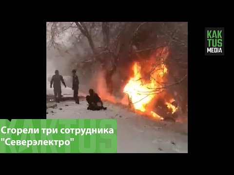 Video: Осетрлерден эмне бышыруу керек