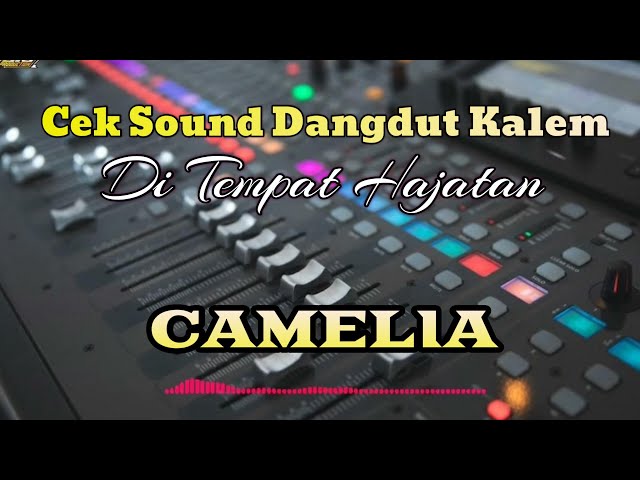 LAGU UNTUK CEK SOUND Camelia glerrr class=