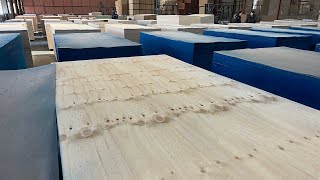 CAMELPLY - CDX pine plywood