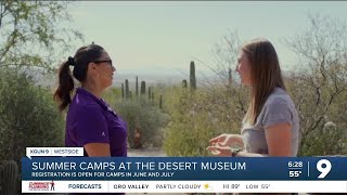Arizona Sonora Desert Museum summer camps offer kids hands-on desert learning
