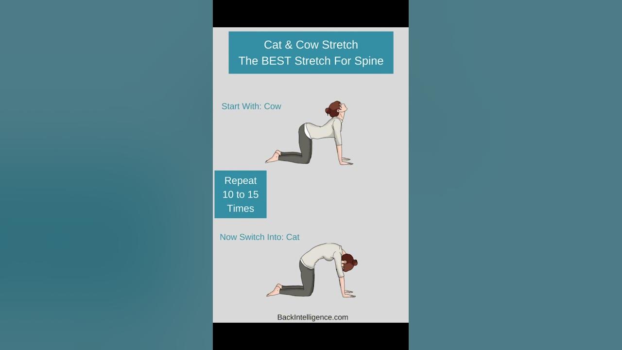 low-back-pain-after-c-section-youtube