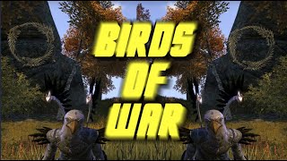 Me and epic-buttkkr take to the skies in Birds of War episode 1