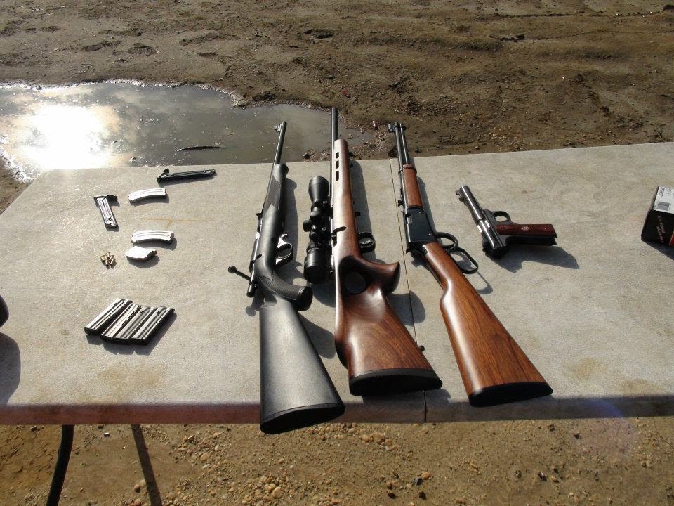 Lever action vs Bolt action vs Pistol (Rimfire Dueling Tree) YouTube