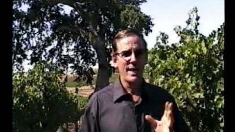 HOW TO RANK HIGH ON GOOGLE AND STAY THERE!