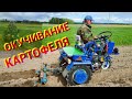 Мотоблок МТЗ Беларус 13H. Окучивание картофеля мотоблокам