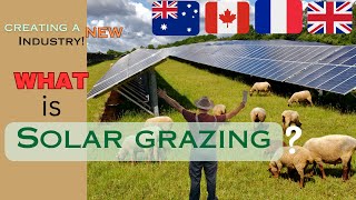 What is Solar Grazing? How "solar grazing" is creating a new industry?