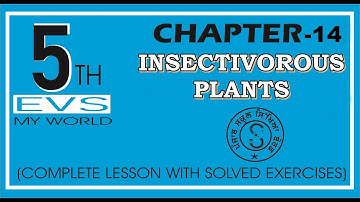 CLASS 5 EVS LESSON 14 INSECTIVOROUS PLANTS ਕੀਟ ਅਹਾਰੀ ਪੌਦੇ  (WITH SOLVED EXERCISE)