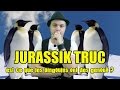 JURASSIK TRUC - Est ce que les pingouins ont des genoux?