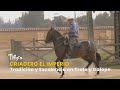Criadero El Imperio: Tradición y Excelencia en Trote y Galope - TvAgro por Juan Gonzalo Angel