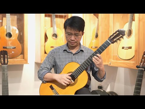 Guitar Fleta, Tacchi | Sự tinh tế không dành cho số đông