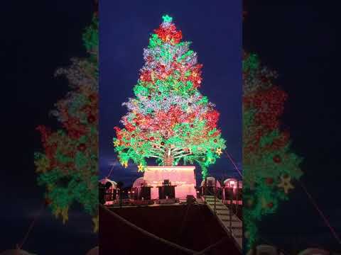 2021 はこだてクリスマスファンタジー
