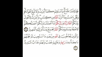 سورة الشورى 6 القسم السادس تكرار كيفي من .. فلذلك فادع واستقم كما أمرت .. إلى .. ولهم عذاب شديد