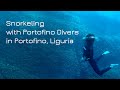 Snorkeling with Portofino Divers in Portofino, Liguria