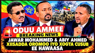 ODUU Ammee 9 September 2026 // Ani Ana media 