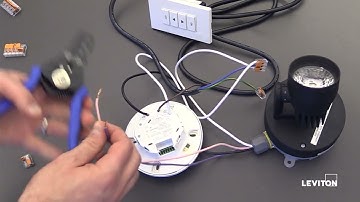 How to Wire a Smart Ceiling Mount Sensor (CMS) and PLVSW Low Voltage Keypad