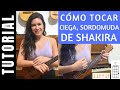 cómo tocar en ukelele CIEGA, SORDOMUDA de SHAKIRA tutorial COMPLETO