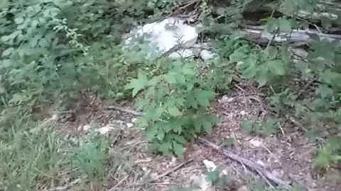 How to Signal to Rescue Crews with No Gear - The Art of Prepping