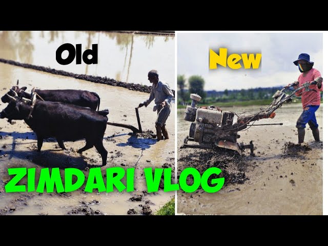 Zimdari Vlog | Kashmir Village Vlog 2 | Official Adeen | class=