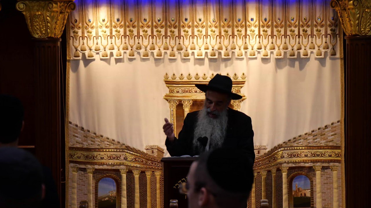 הרב מאיר דוד שמואלי שליט"א - שידור חי יום ב' - פרשת בלק תשפ"ו