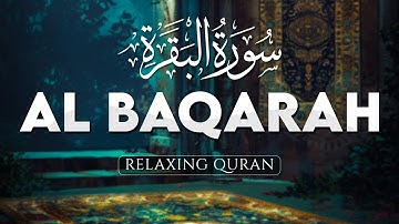 This will Deeply Touch your Heart, Calming Voice, Surah Al Baqarah Full (سورة البقره) - ALAA AQEL