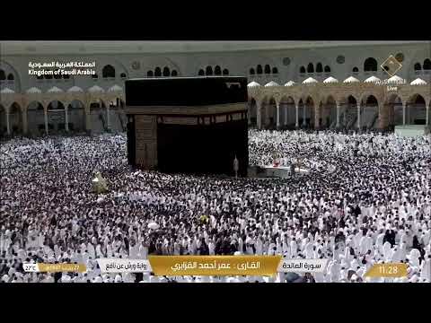 🔴Medina TV Live Online 24/7 | بث مباشر || قناة السنة النبوية Madinah Live Today HD
