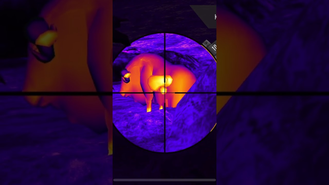 Legendary musk oxen 2nd region ten trophy