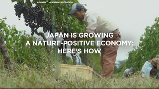 Japan is growing a nature-positive economy: here’s how