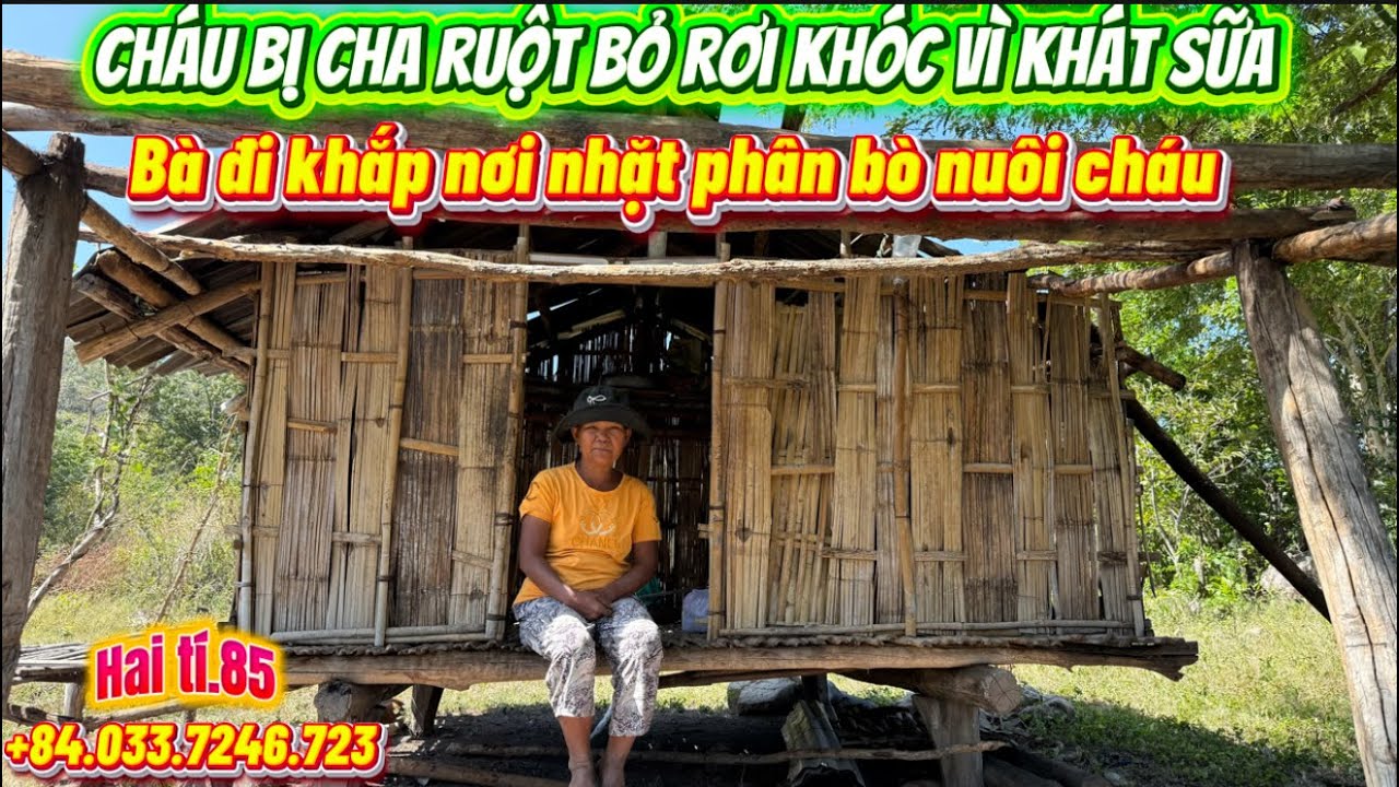 Không đủ tiền mua sữa cho đứa cháu bị cha bỏ rơi từ trong bụng mẹ, bà đi nhặt phân bò bán .  Tập 37