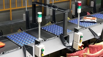 Evolved wheel sorter integrated