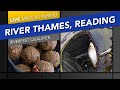 Live Match Fishing: Riverfest Qualifier, River Thames, Reading