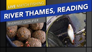 Live Match Fishing: Riverfest Qualifier, River Thames, Reading