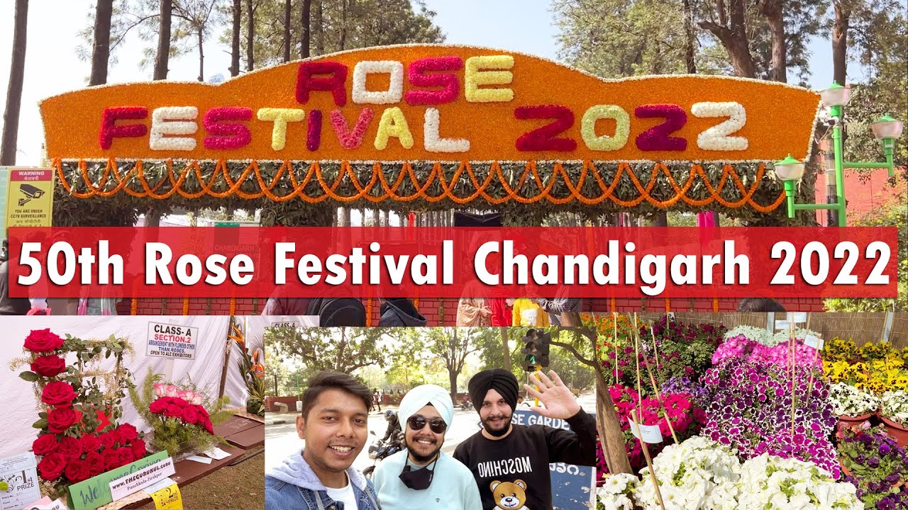 50th Rose Festival Chandigarh 2022 Day 3 Bahut Majha Aaya Rose