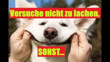 If you smile replay the Video! / Wenn du lachst, starte das Video neu!