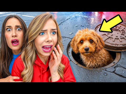 MY DOG IS STUCK IN THE SEWER
