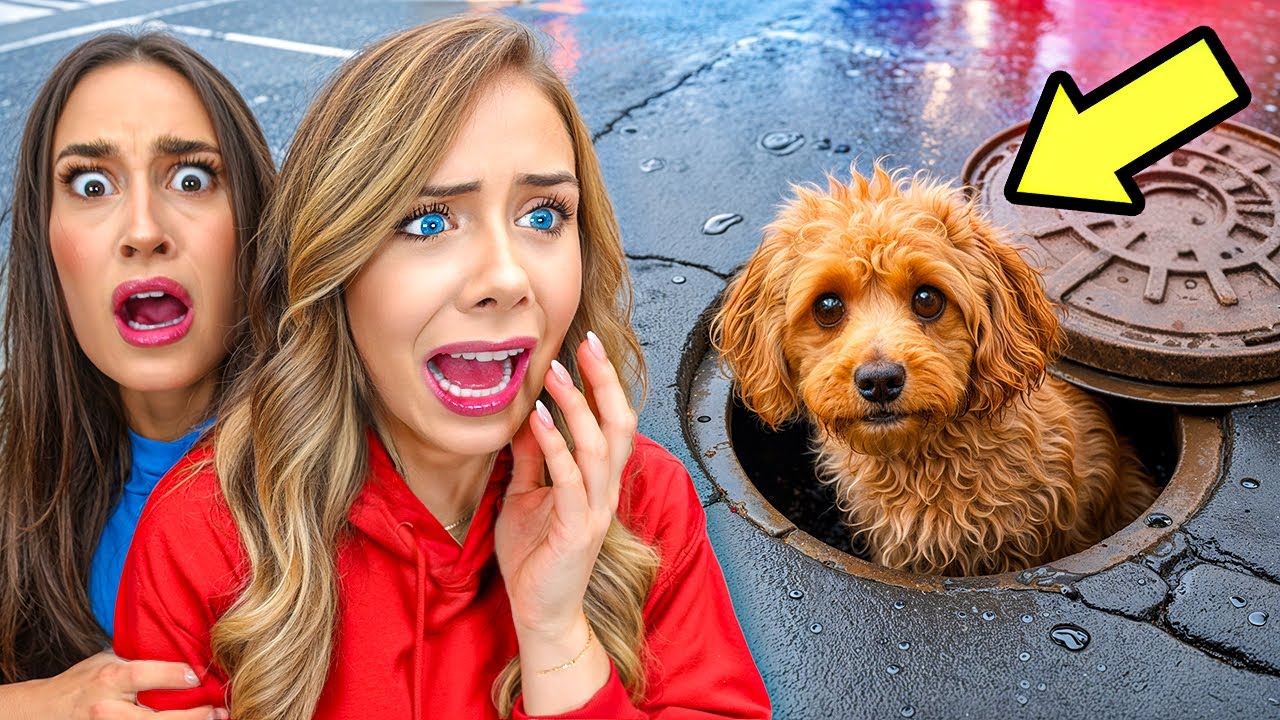 MY DOG IS STUCK IN THE SEWER…