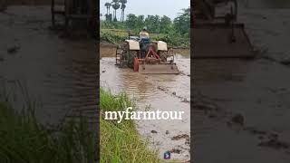 Paddy field puddling with tractor rotavator - Navara