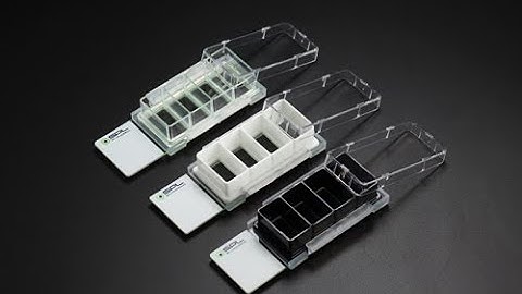 SPL Cell Culture Slide