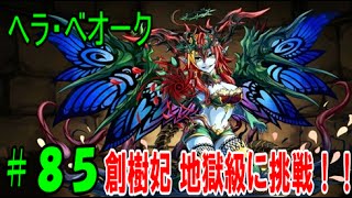 【パズドラ】ジャングルの女王様!? ヘラ・べオーク地獄級に挑戦!!【パズドラ動画第85回目】 【パズドラ】ジャングルの女王様!? ヘラ・べオーク地獄級に挑戦!!【パズドラ動画第85回目】