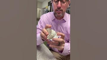 Congrats on starting the LightForce journey!