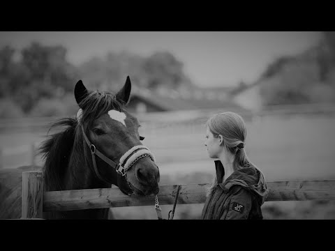 My horse Caruso is dead †😭