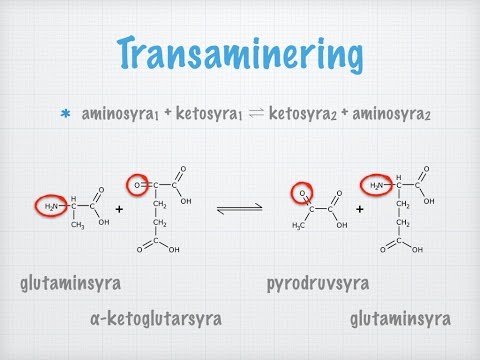 Video: I reduktiv aminering reagerer ammoniakk med?